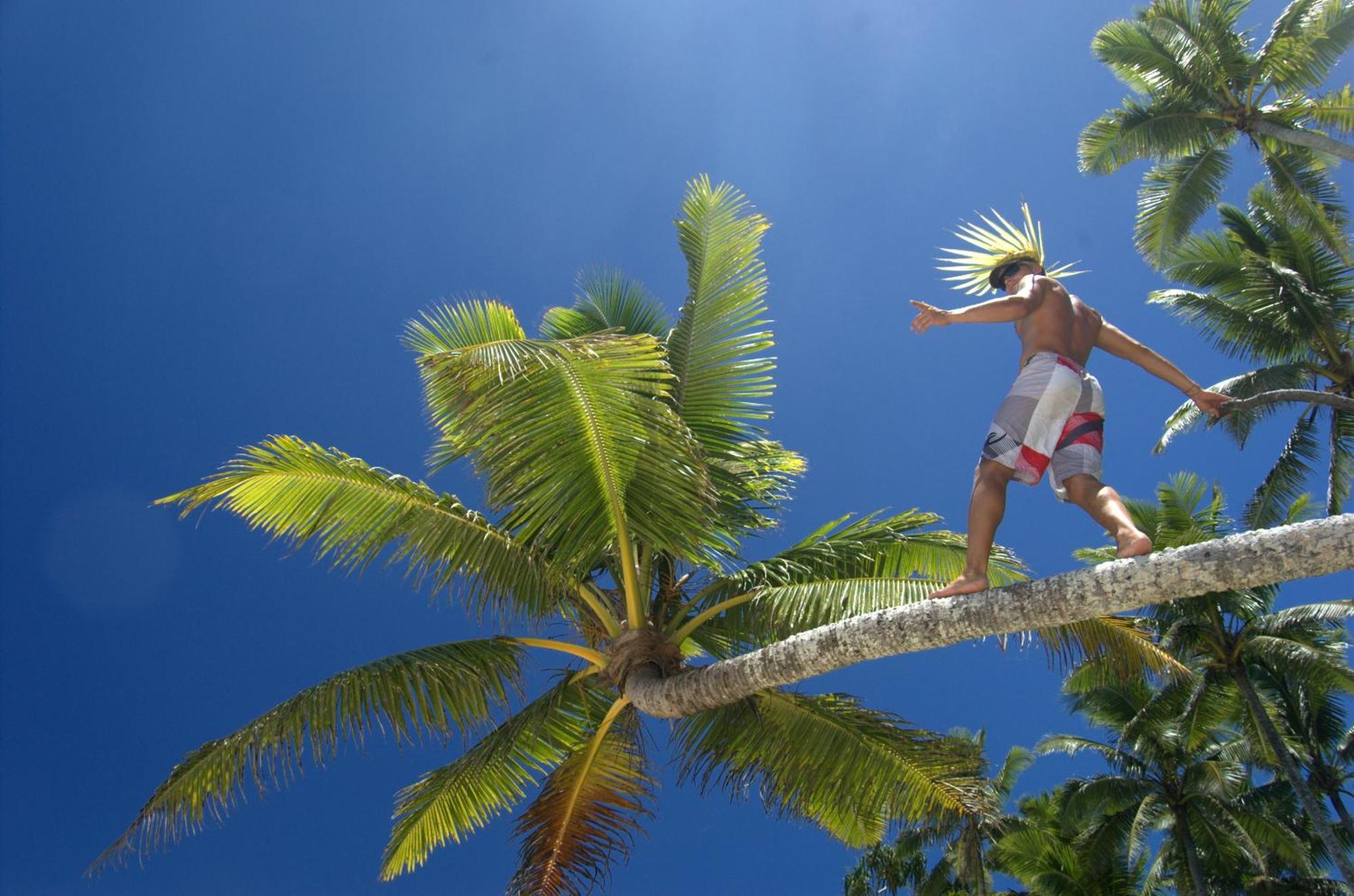 Maravu Taveuni Lodge Matei Exteriér fotografie