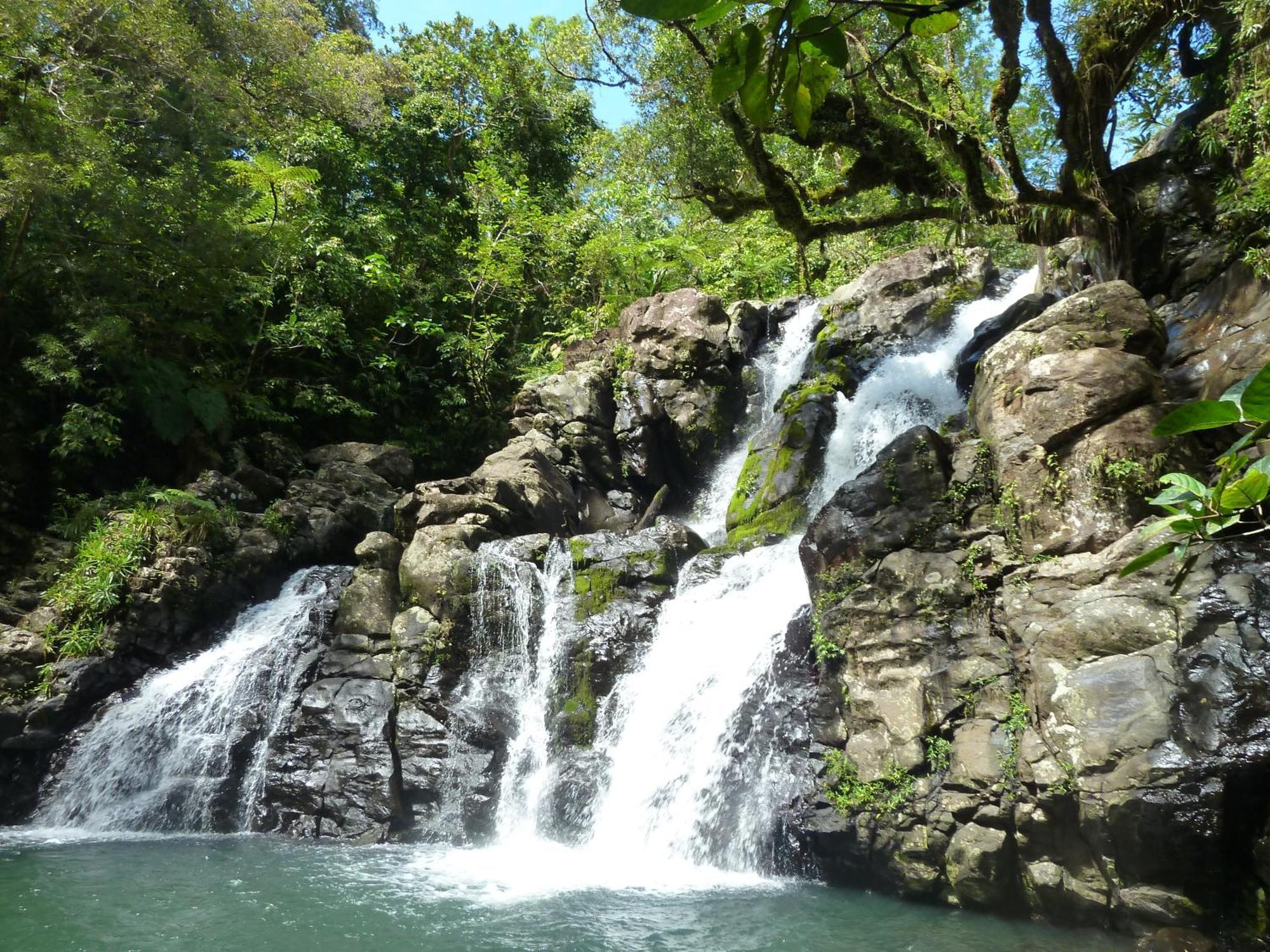 Maravu Taveuni Lodge Matei Exteriér fotografie