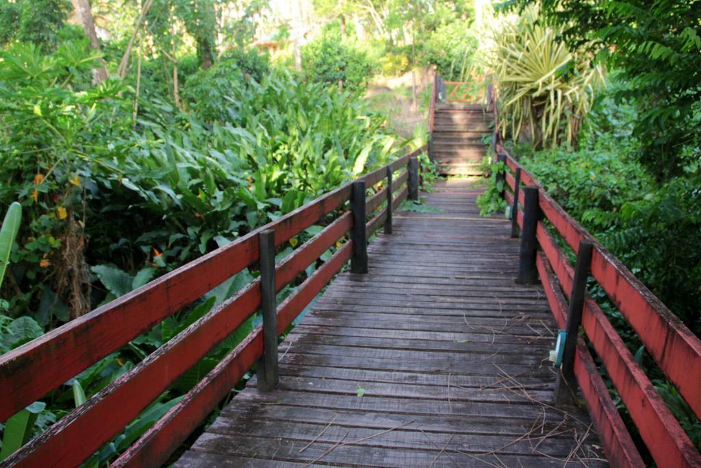 Maravu Taveuni Lodge Matei Pokoj fotografie